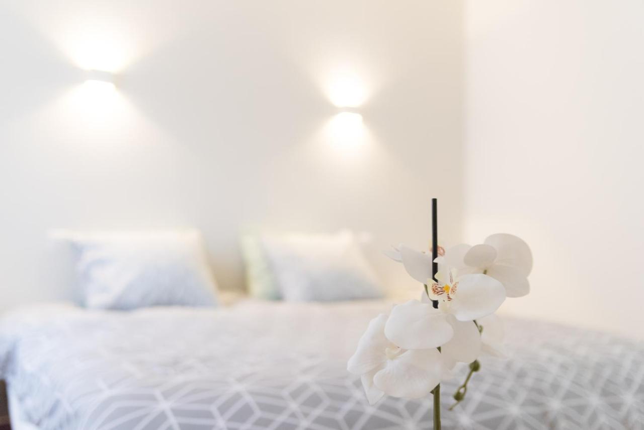 Ravissant Triplex Et Duplex Au Centre De St Esprit Apartment
